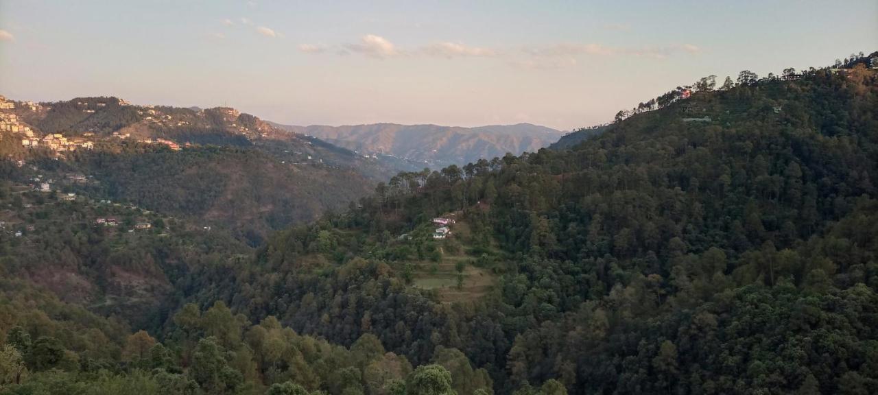 Thakur Homes- Couple And Family Friendly Homestay Shimla Exterior foto