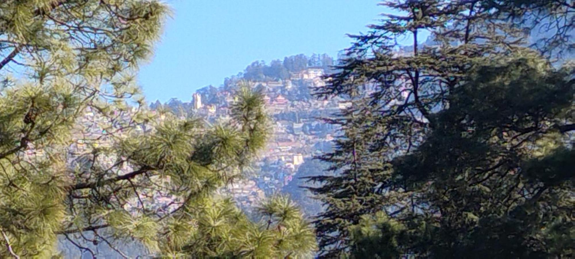 Thakur Homes- Couple And Family Friendly Homestay Shimla Exterior foto