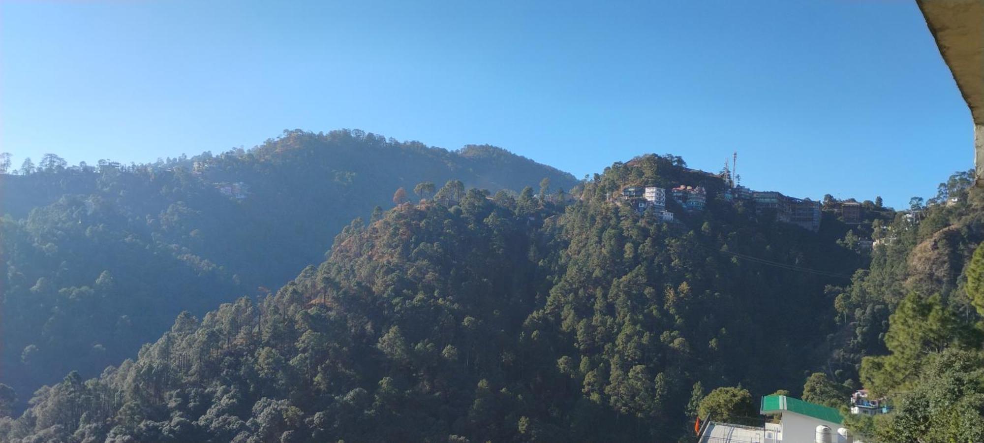 Thakur Homes- Couple And Family Friendly Homestay Shimla Exterior foto